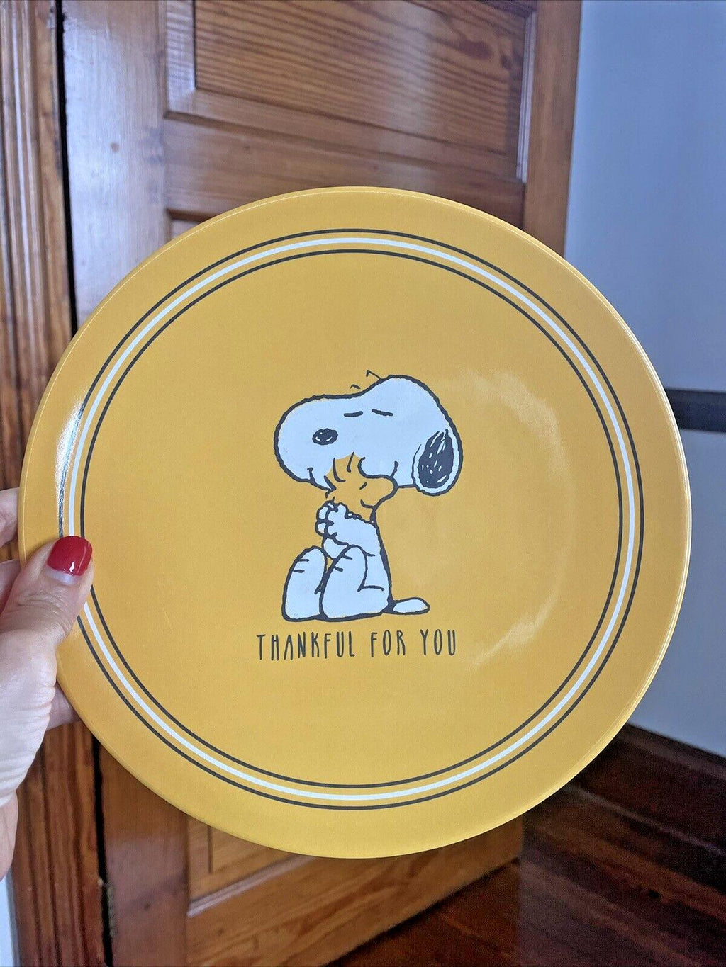 Snoopy Pottery Barn disney peanuts Holiday SET Thanksgiving party gift dinner -