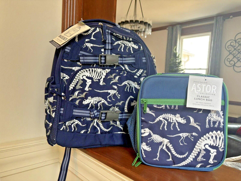 Disney School boy Pottery barn Dinosaur BACKPACK travel+ Lunch Box Jurassic n