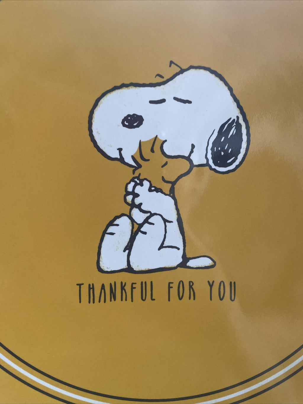 Snoopy Pottery Barn disney peanuts Holiday SET Thanksgiving party gift dinner -