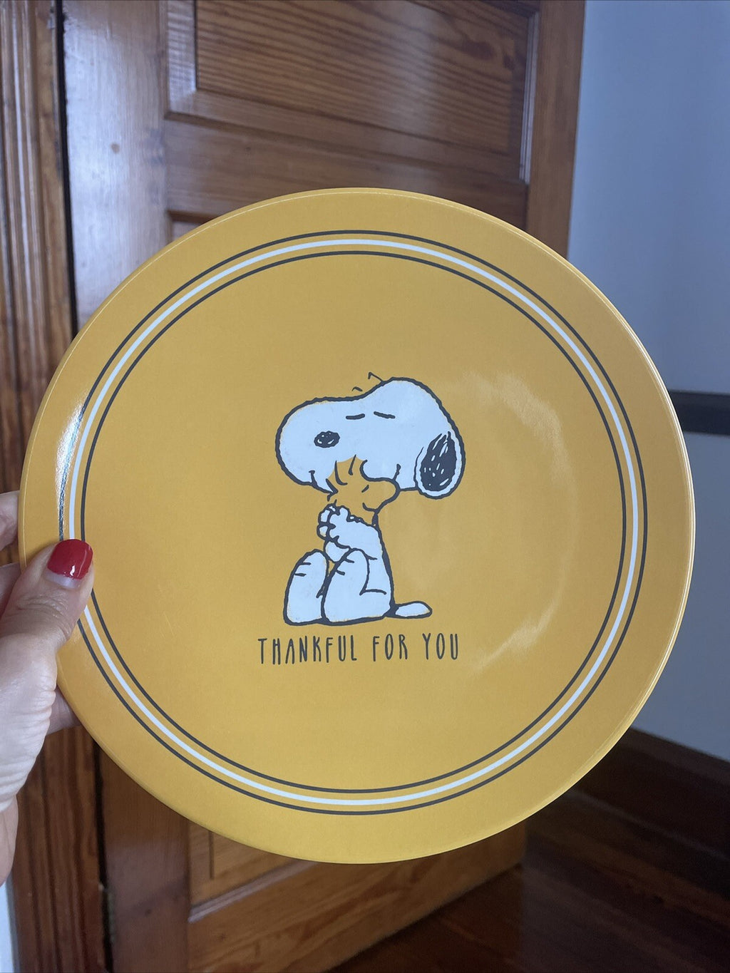 Snoopy Pottery Barn disney peanuts Holiday SET Thanksgiving party gift dinner -
