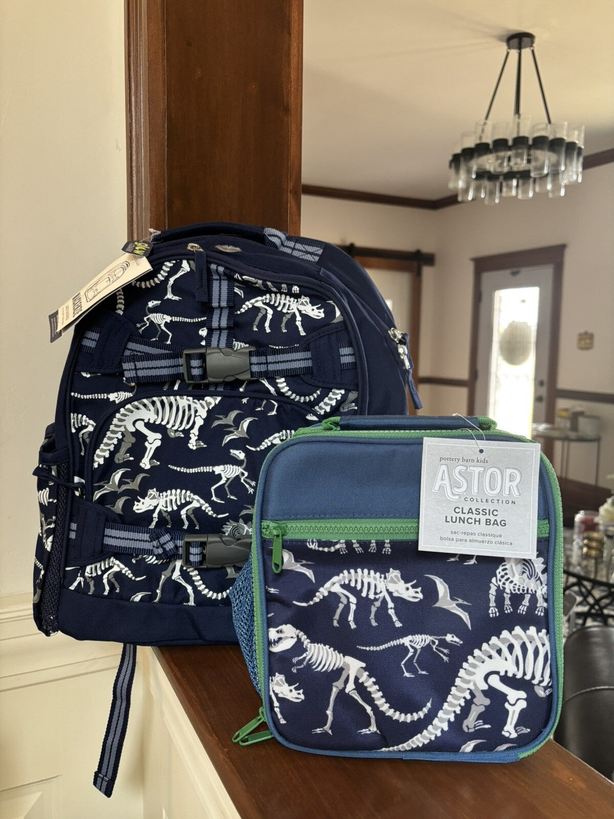 Disney School boy Pottery barn Dinosaur BACKPACK travel+ Lunch Box Jurassic n