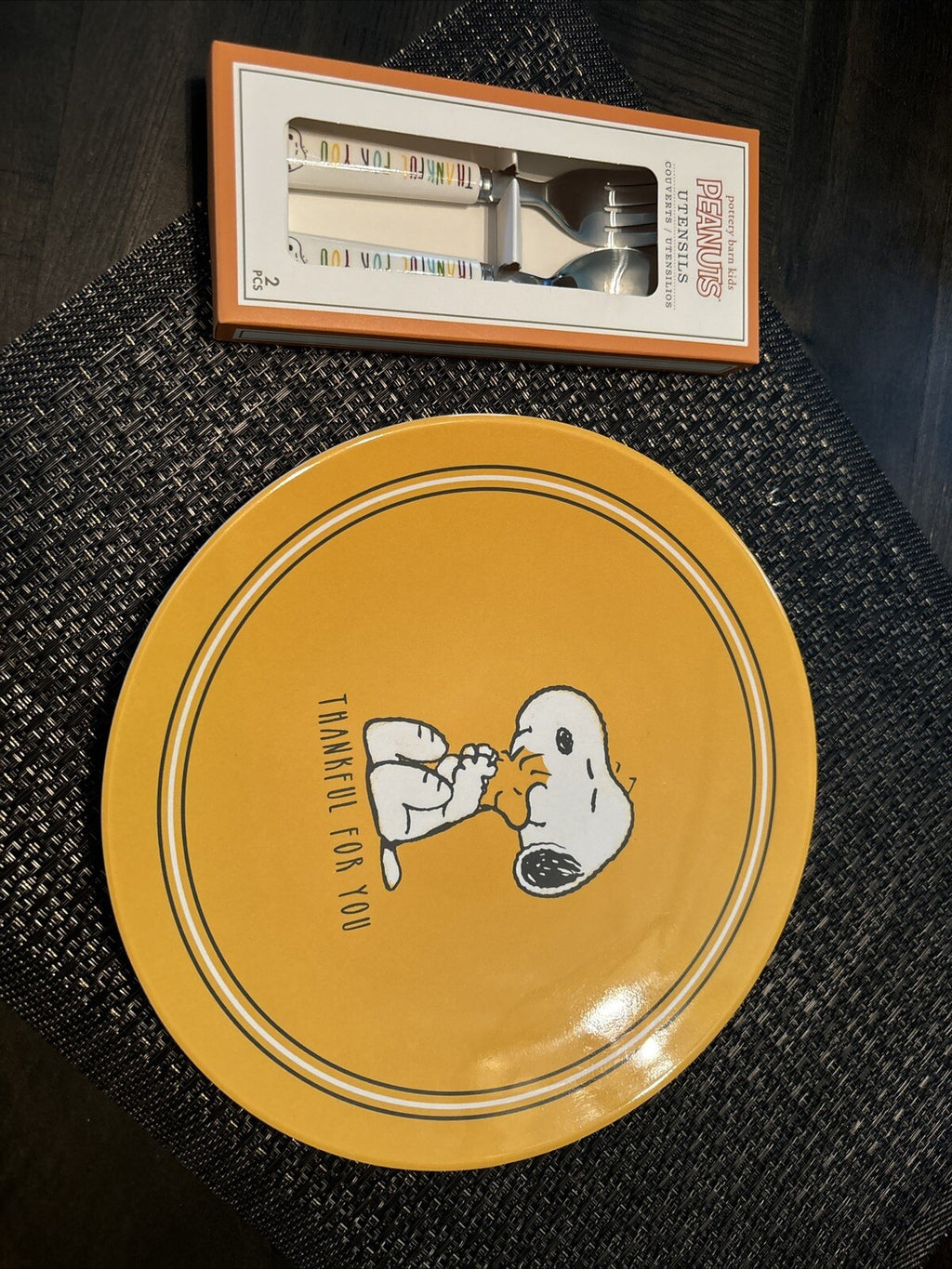 Snoopy Pottery Barn disney peanuts Holiday SET Thanksgiving party gift dinner -