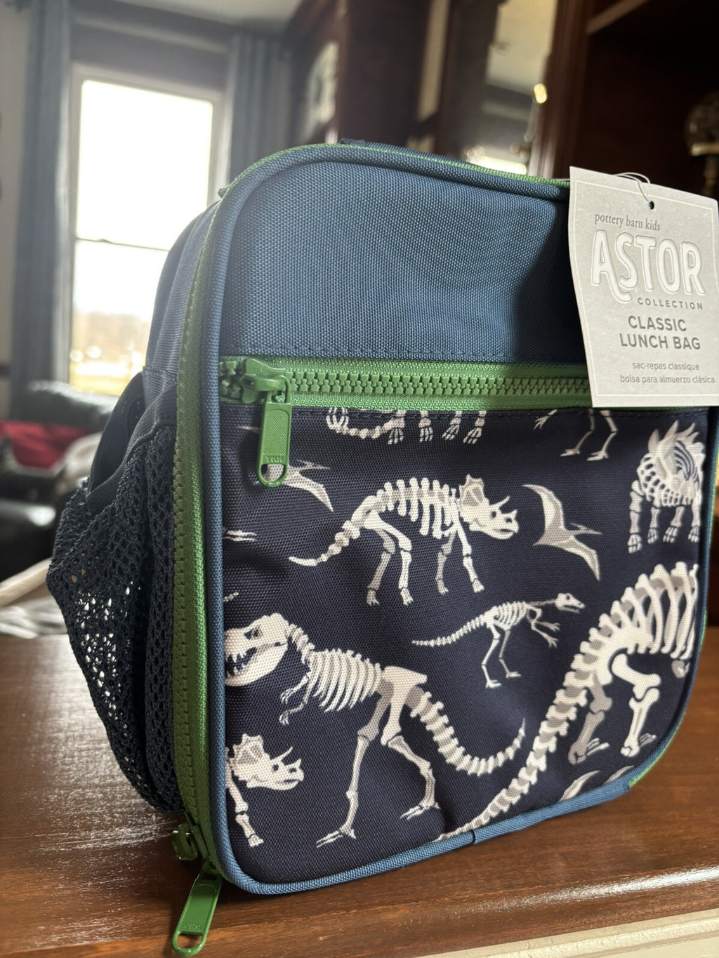Disney School boy Pottery barn Dinosaur BACKPACK travel+ Lunch Box Jurassic n