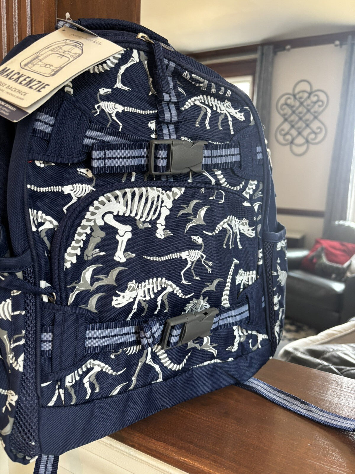 Disney School boy Pottery barn Dinosaur BACKPACK travel+ Lunch Box Jurassic n