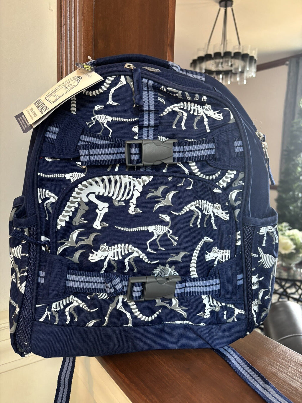 Disney School boy Pottery barn Dinosaur BACKPACK travel+ Lunch Box Jurassic n