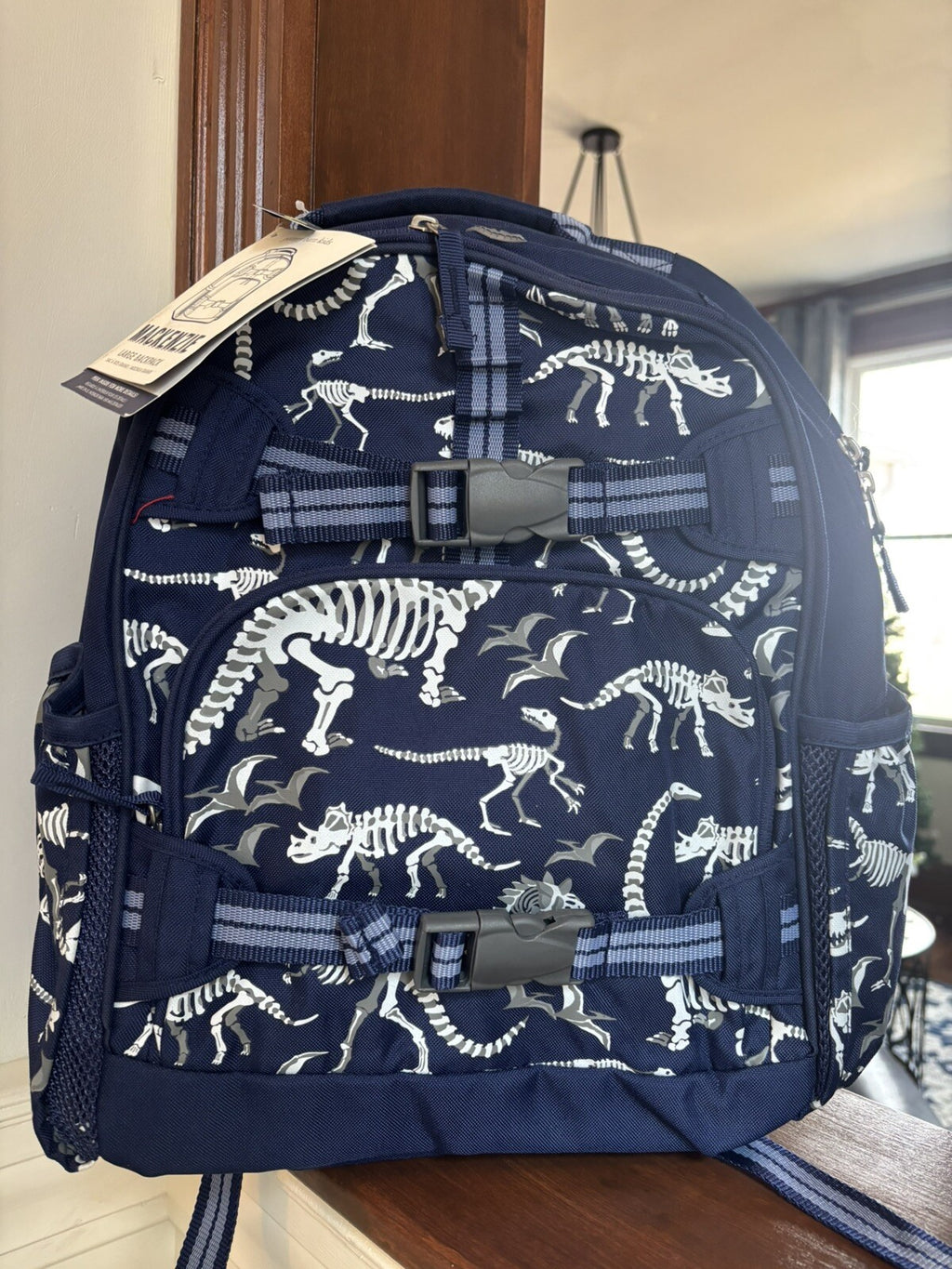 Disney School boy Pottery barn Dinosaur BACKPACK travel+ Lunch Box Jurassic n
