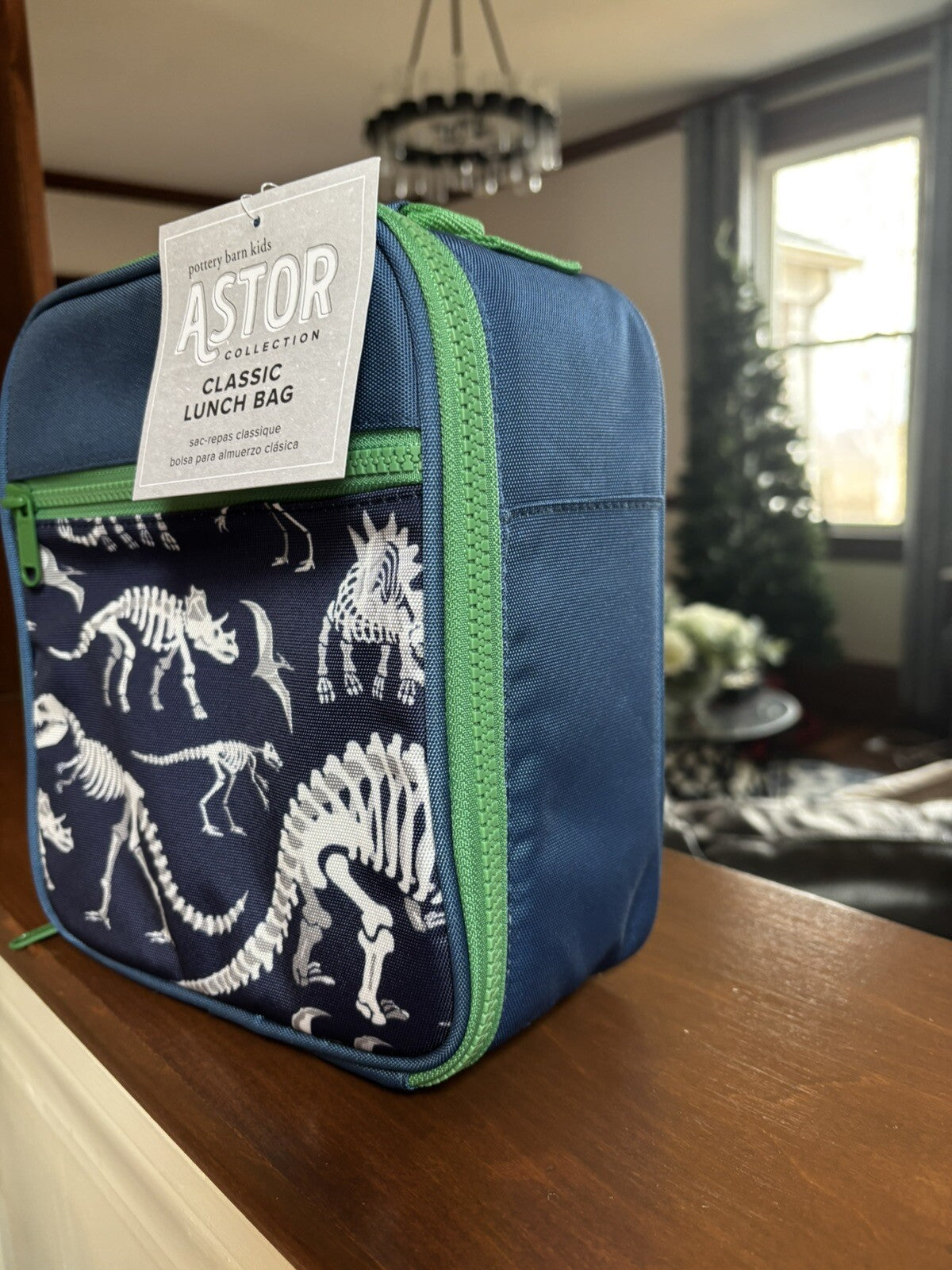 Disney School boy Pottery barn Dinosaur BACKPACK travel+ Lunch Box Jurassic n