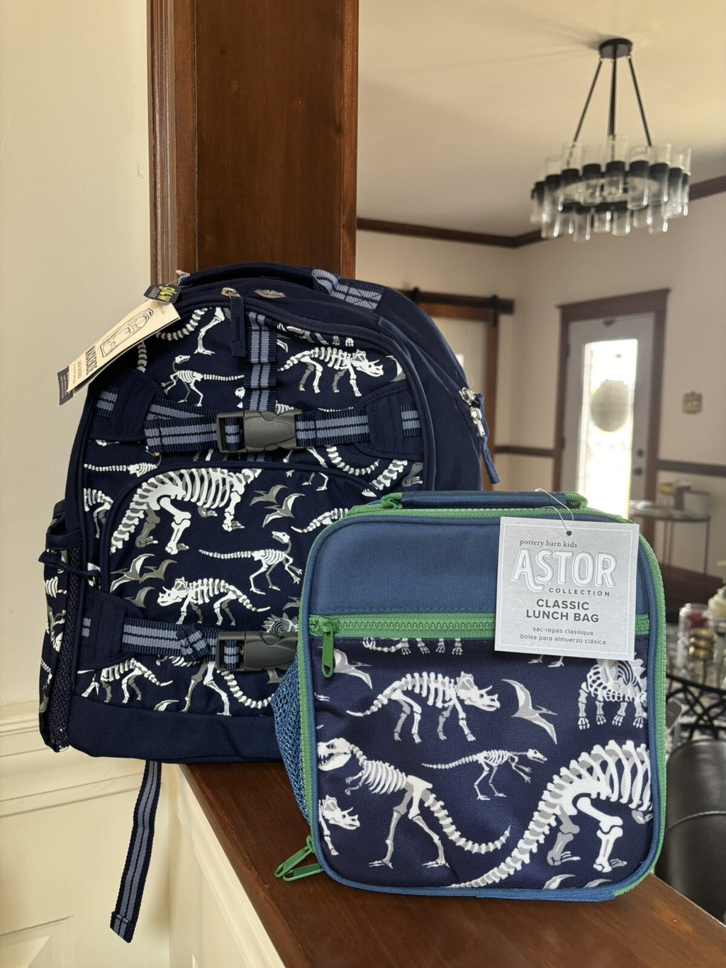 Disney School boy Pottery barn Dinosaur BACKPACK travel+ Lunch Box Jurassic n