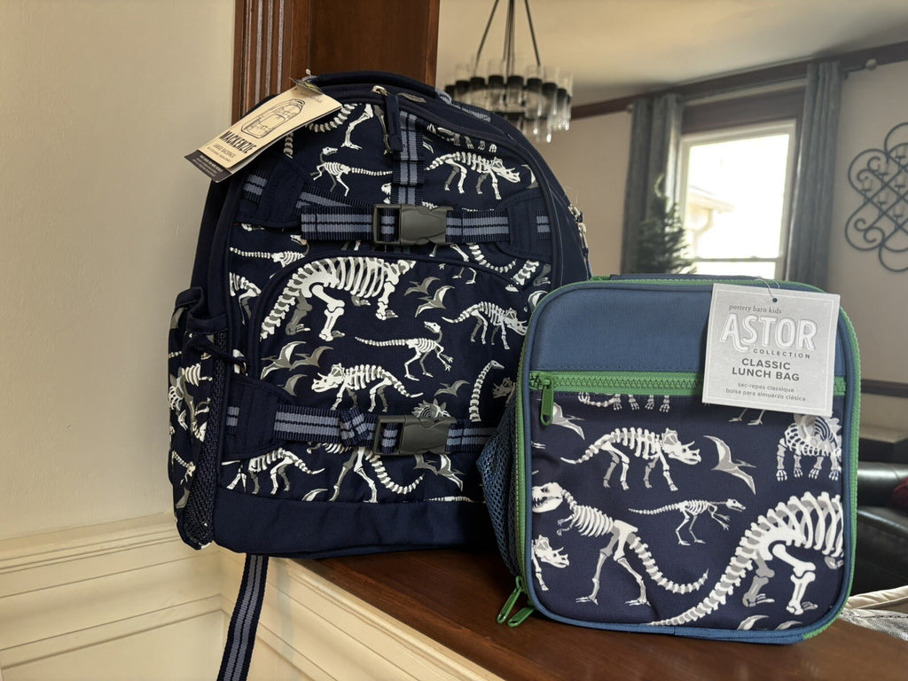Disney School boy Pottery barn Dinosaur BACKPACK travel+ Lunch Box Jurassic n