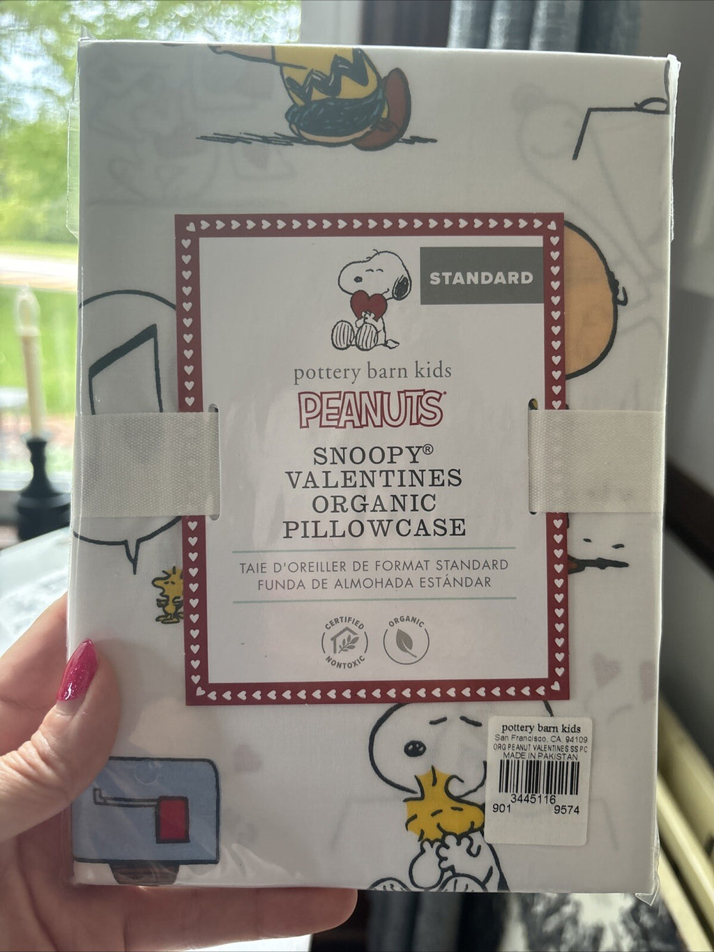 Snoopy Peanuts Pottery Barn PILLOWCASE holiday kid Disney heart Valentine ?? "