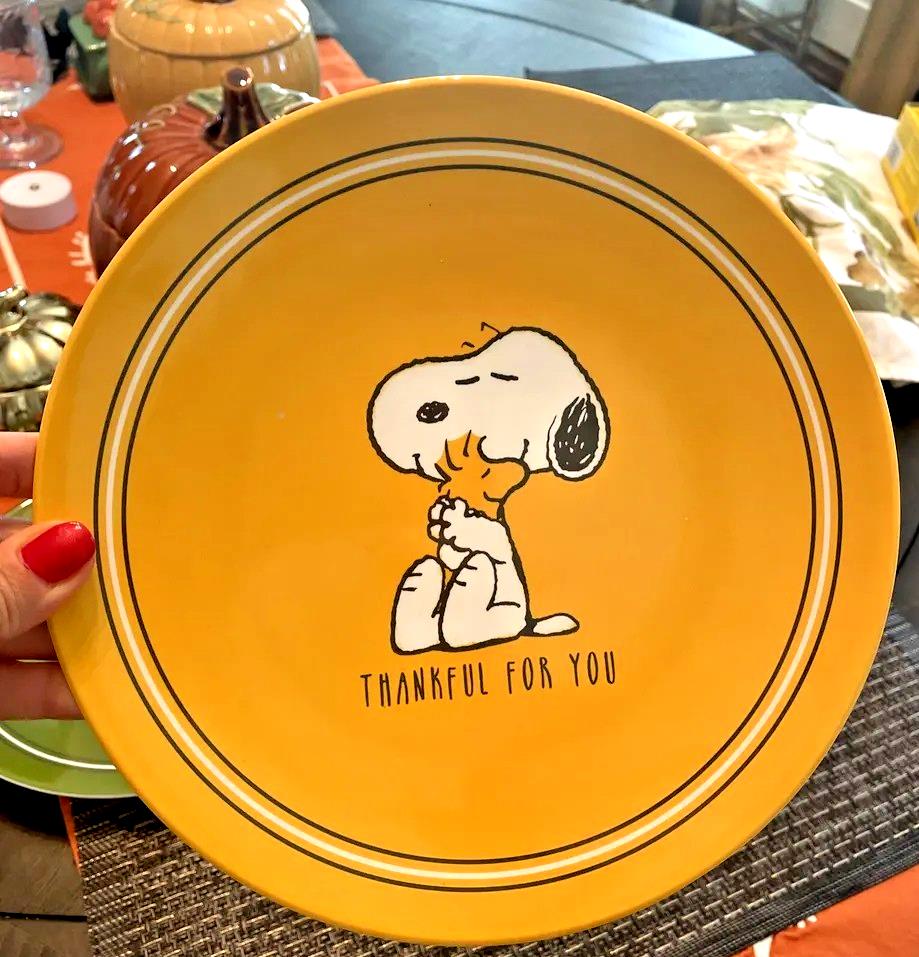 Pottery Barn holiday Thanksgiving Snoopy Peanuts party Disney dinner plate kid