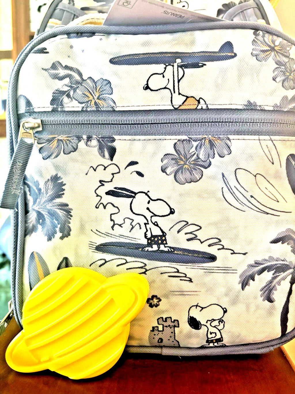 School Pottery barn SNOOPY LUNCH BAG Peanuts holiday travel Space boy Pre k  n