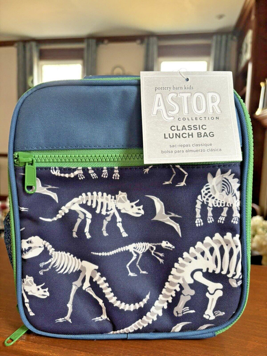 Pottery barn school dinosaur lunchbox dino bones holiday christmas gift boy pre