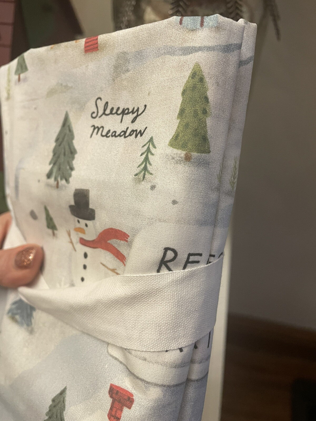 Pottery Barn Disney Pillowcase KING holiday Deer Christmas Gift kids SET 2 New '