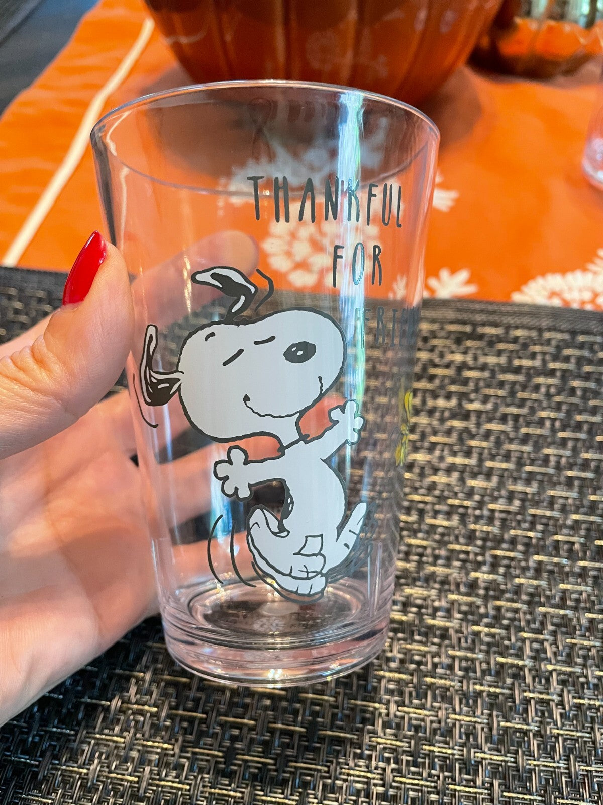 Snoopy Pottery Barn Peanuts Holiday gift Thanksgiving party Disney Cup SET 2