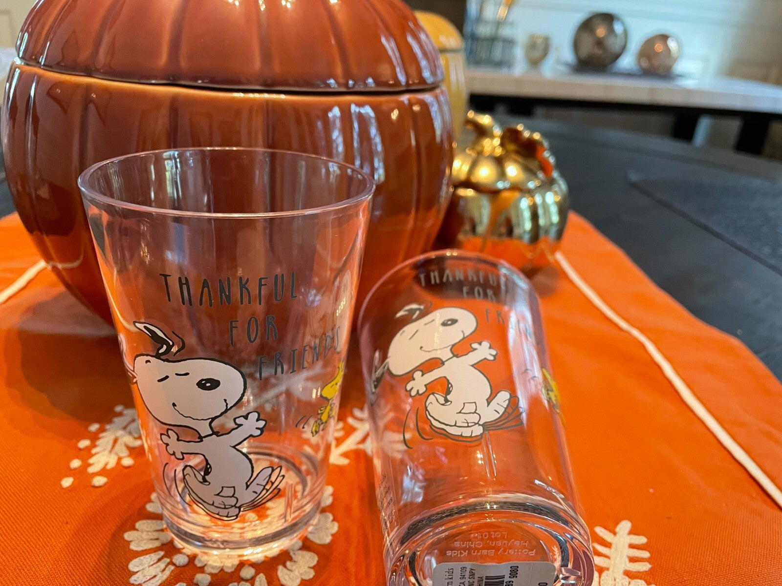 Snoopy Pottery Barn Peanuts Holiday gift Thanksgiving party Disney Cup SET 2