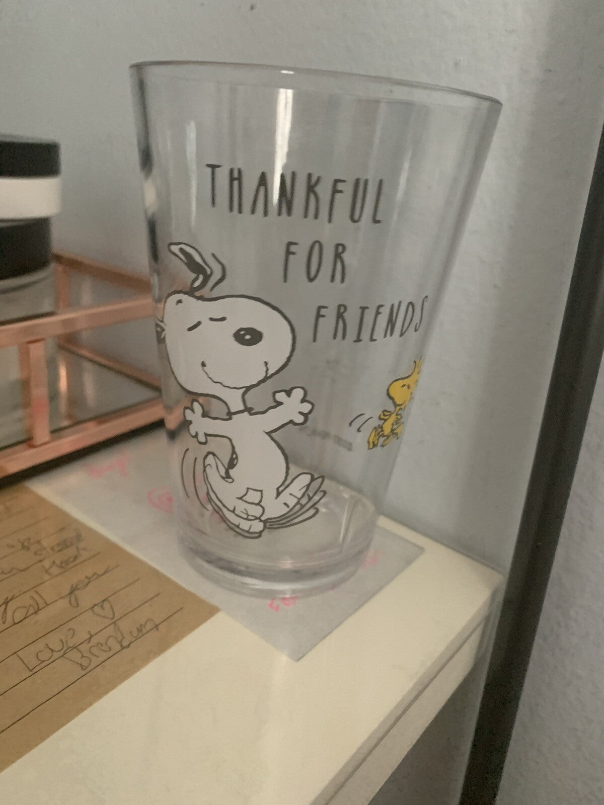 Snoopy Pottery Barn Peanuts Holiday gift Thanksgiving party Disney Cup SET 2