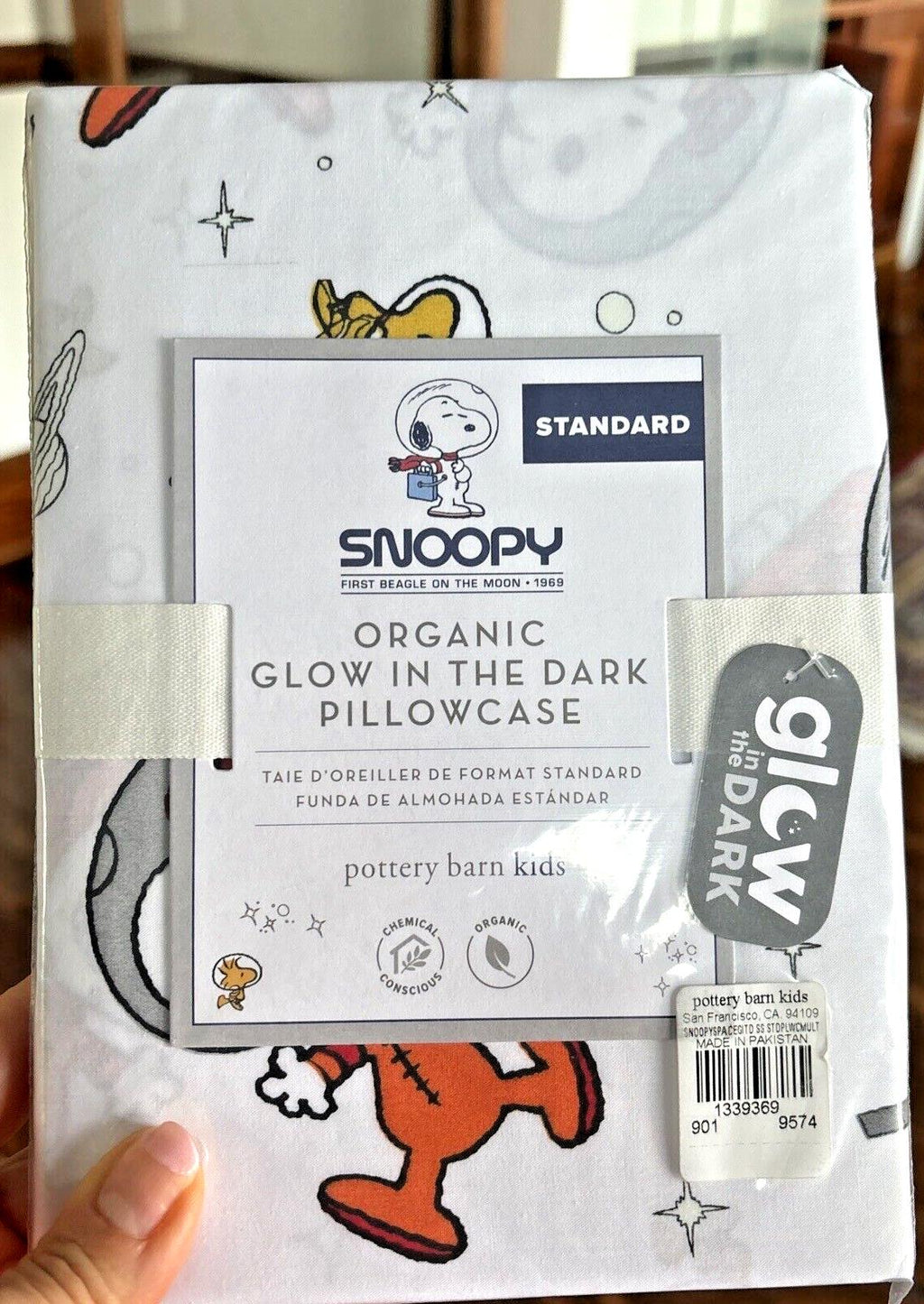 Snoopy Disney Pottery Barn PILLOWCASE Peanuts DOG space school holiday kids "