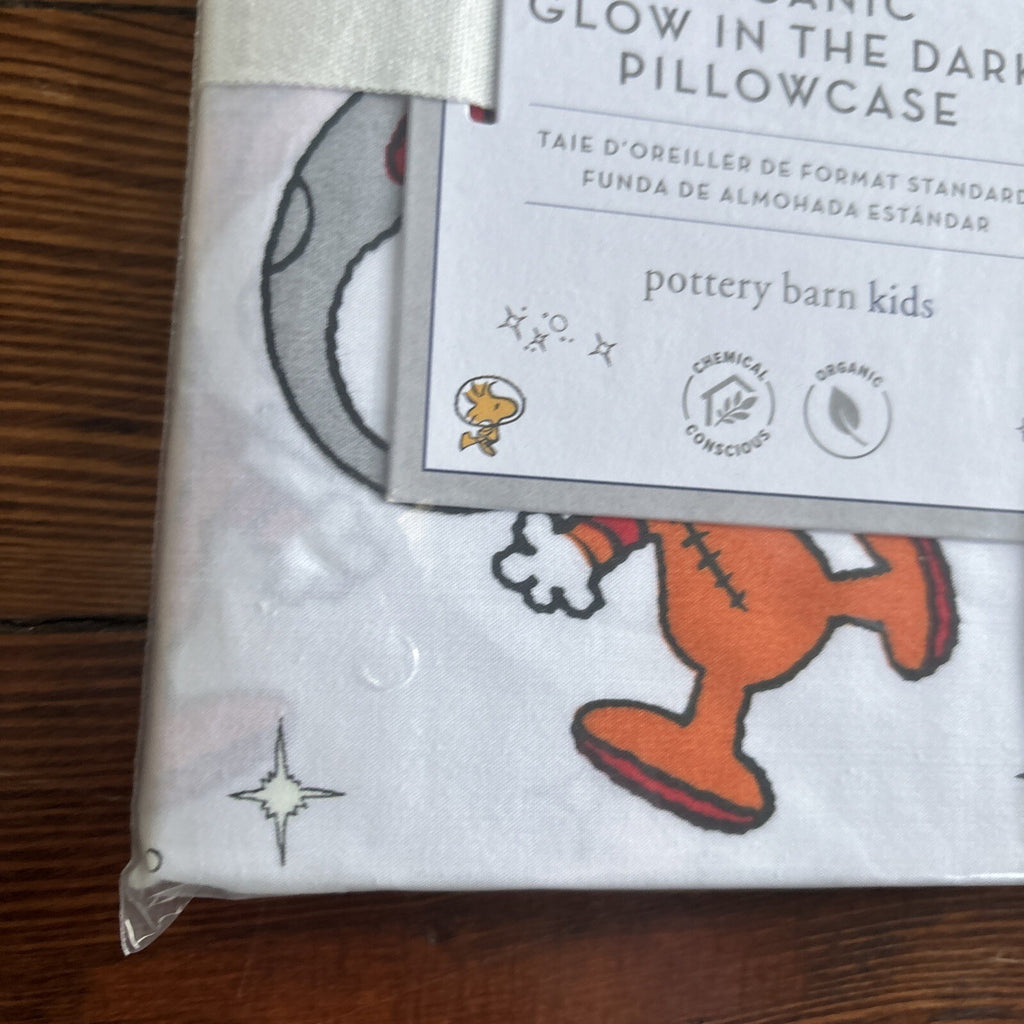 Snoopy Disney Pottery Barn PILLOWCASE Peanuts DOG space school holiday kids "