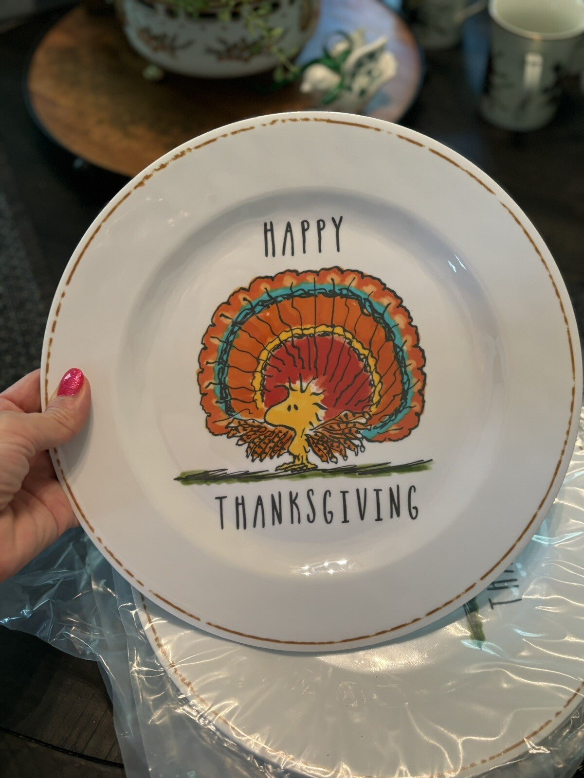 Disney Snoopy Pottery Barn Holiday Peanuts Plate Thanksgiving kid party SET 4