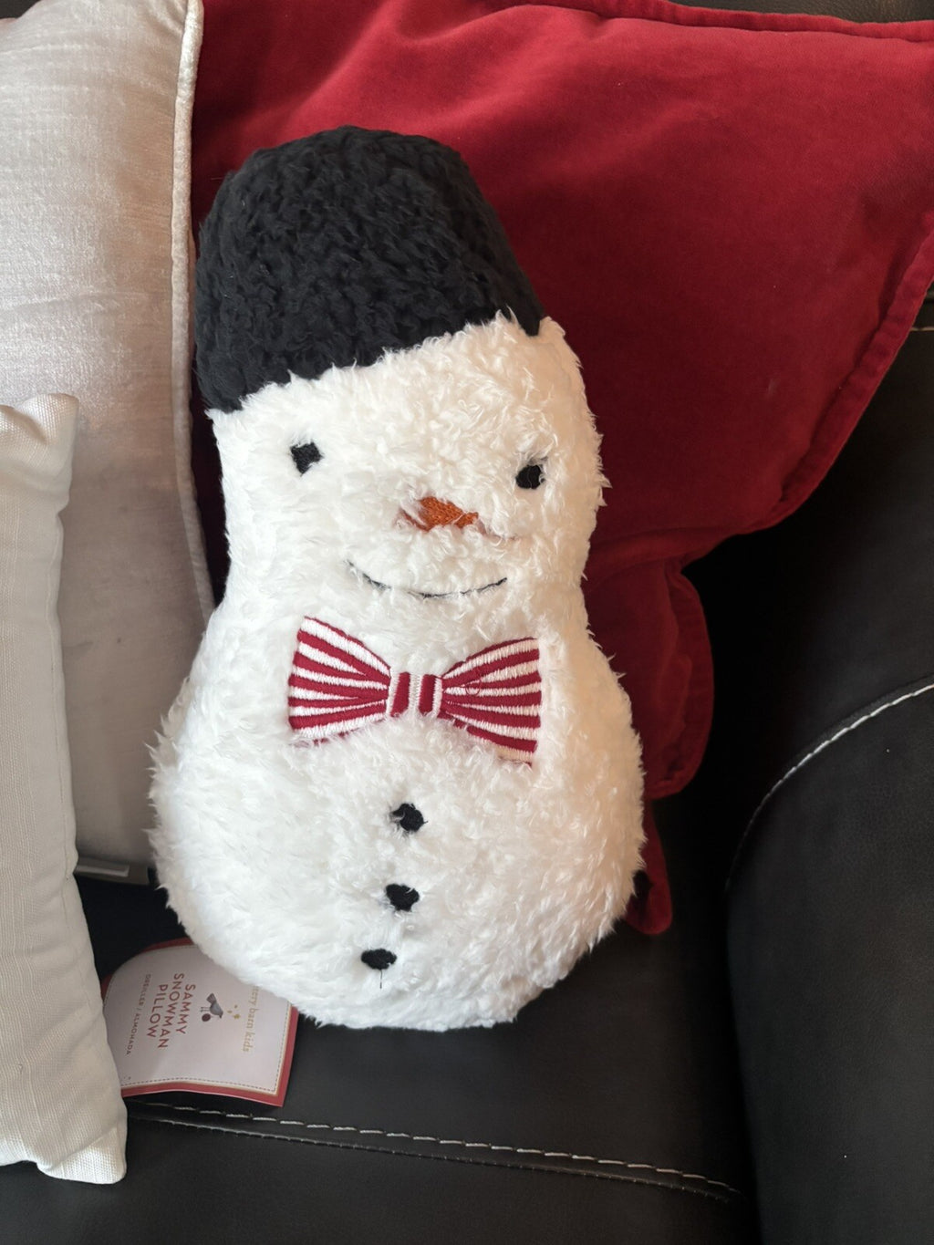Pottery Barn Snowman Christmas pillow Seuss Holiday Gift party Disney girl Kid -