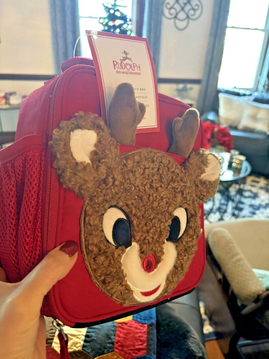 Pottery barn Christmas holiday RUDOLPH LUNCH BOX BAG space School gift Peanuts n