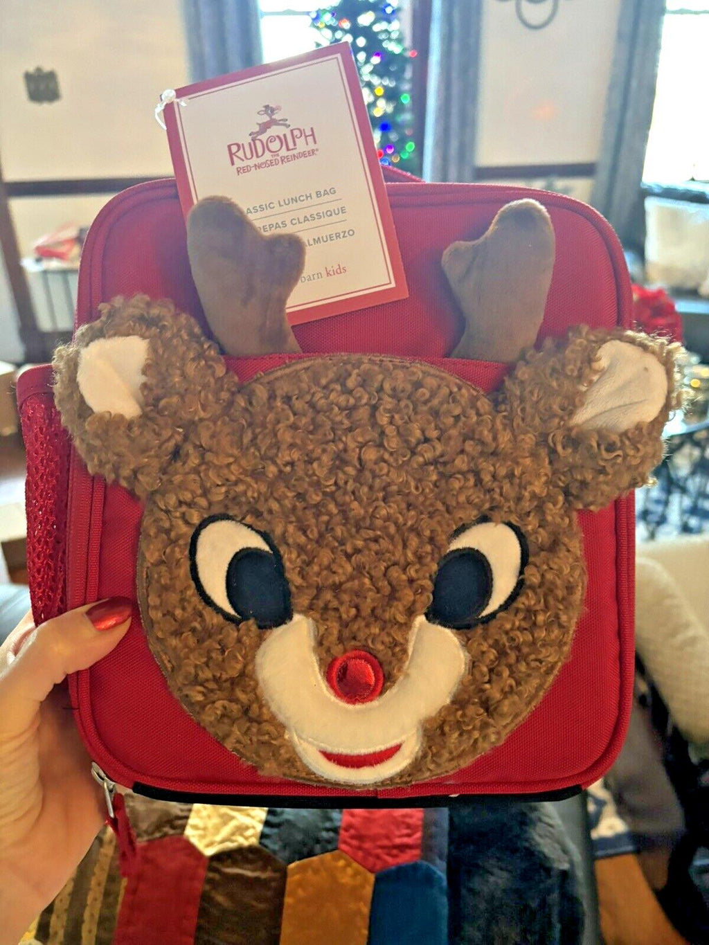 Pottery barn Christmas holiday RUDOLPH LUNCH BOX BAG space School gift Peanuts n