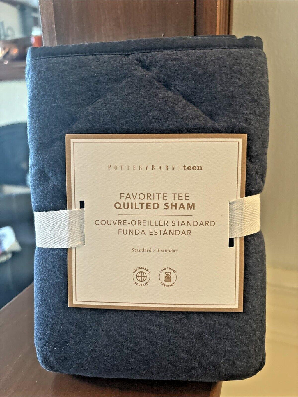 Pottery Barn holiday gift party grogu space Blue PILLOW SHAM boy travel dorm -