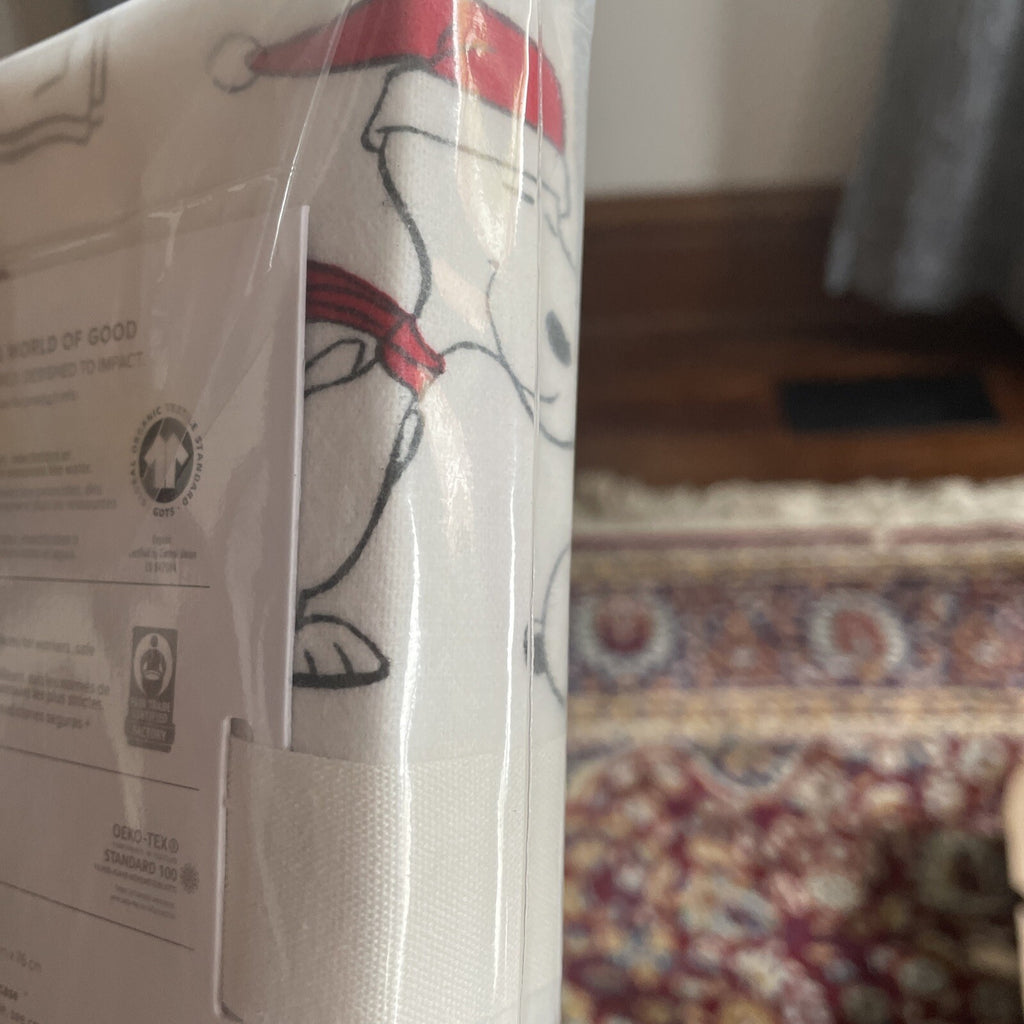 Pottery Barn Christmas Snoopy peanuts Holiday school kid party gift pillowcase h