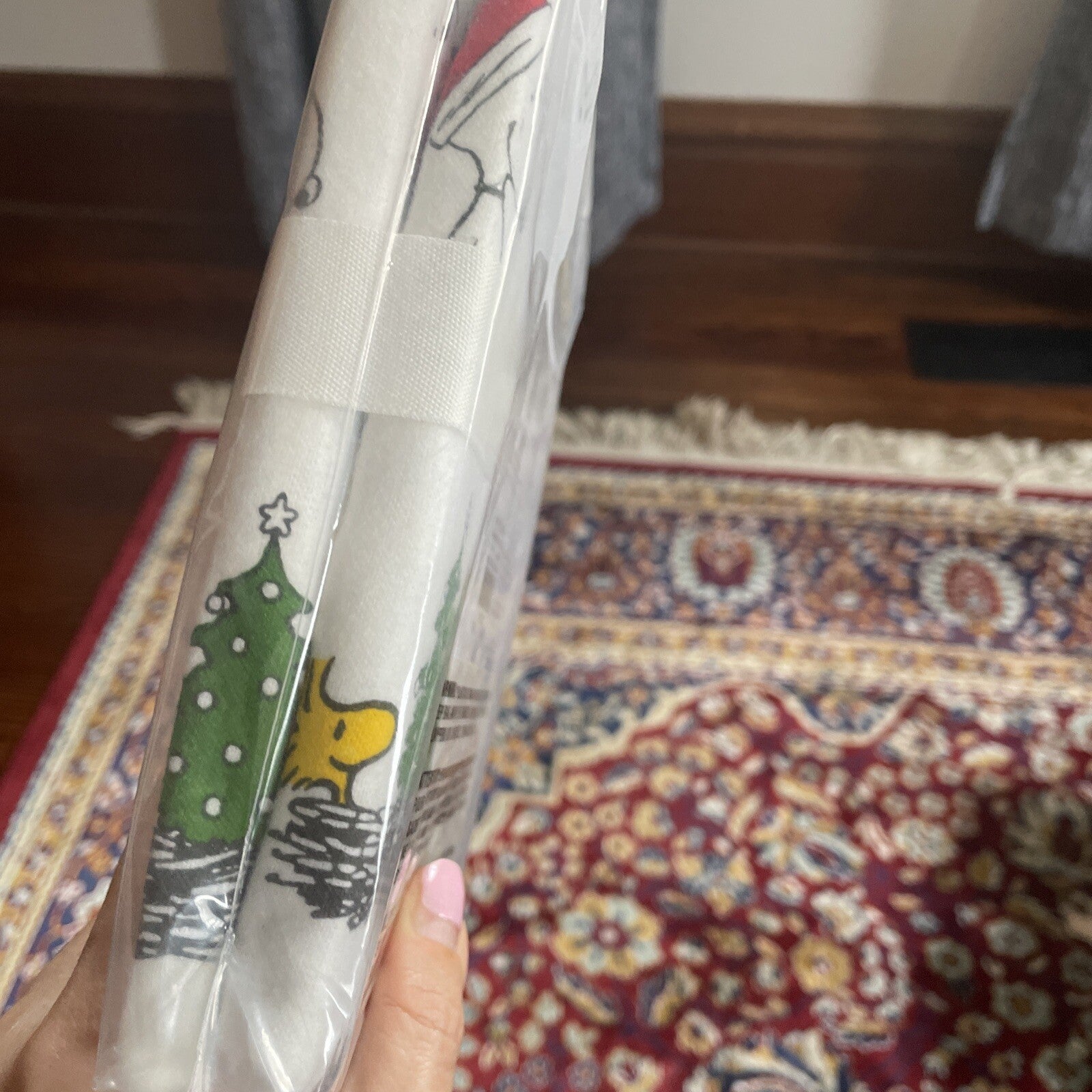 Pottery Barn Christmas Snoopy peanuts Holiday school kid party gift pillowcase h
