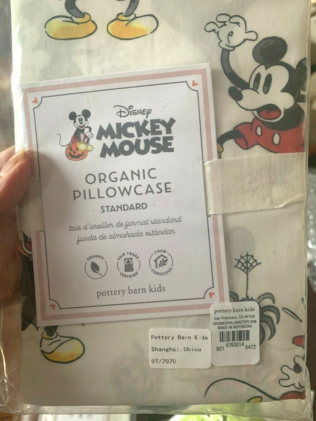Pottery Barn Disney Mickey Mouse Peanuts Halloween holiday Pillowcase gift ?? "