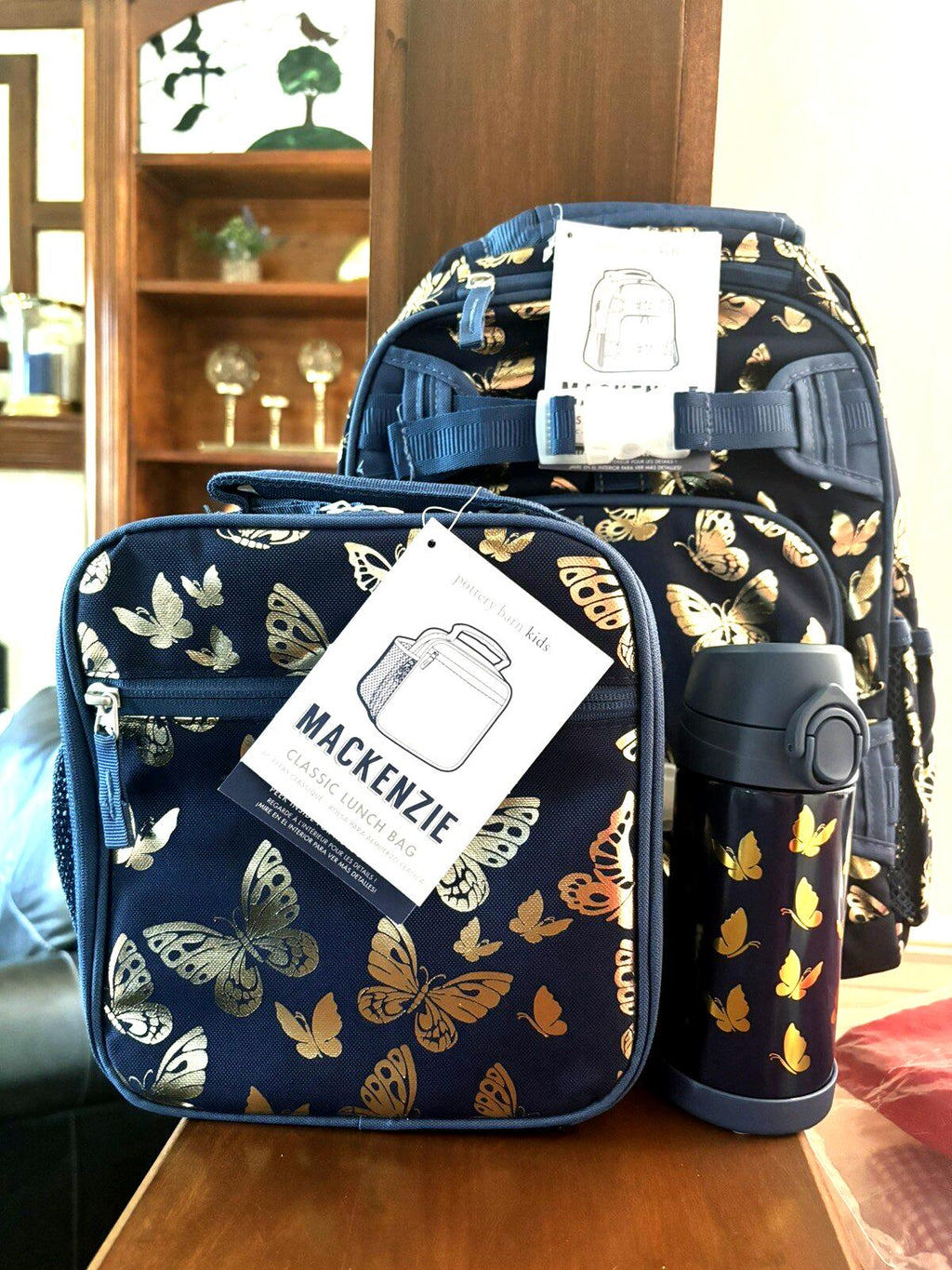 Pottery barn School LARGE BACKPACK + LUNCH + WATER Travel Bag girl Disney ?? .