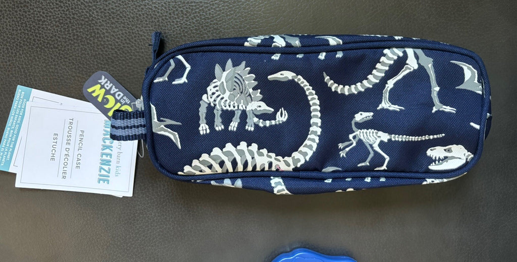 School Pottery barn Bag Pencil case boy Dinosaur Disney Jurassic gift star n
