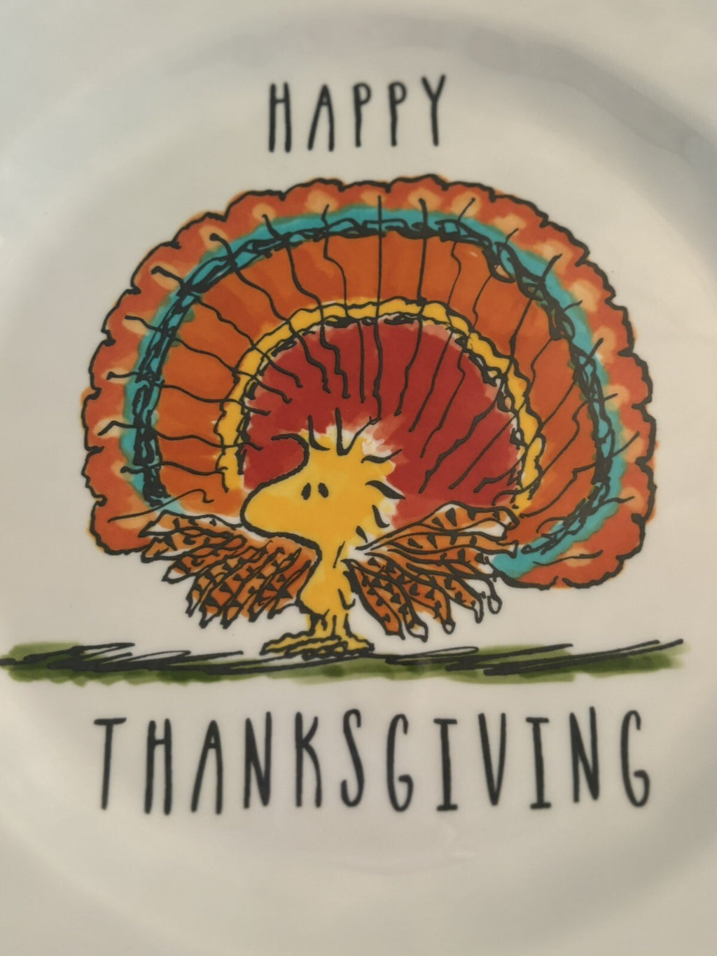 Disney Snoopy Pottery Barn Holiday DINNER SET Peanuts Plate Thanksgiving party