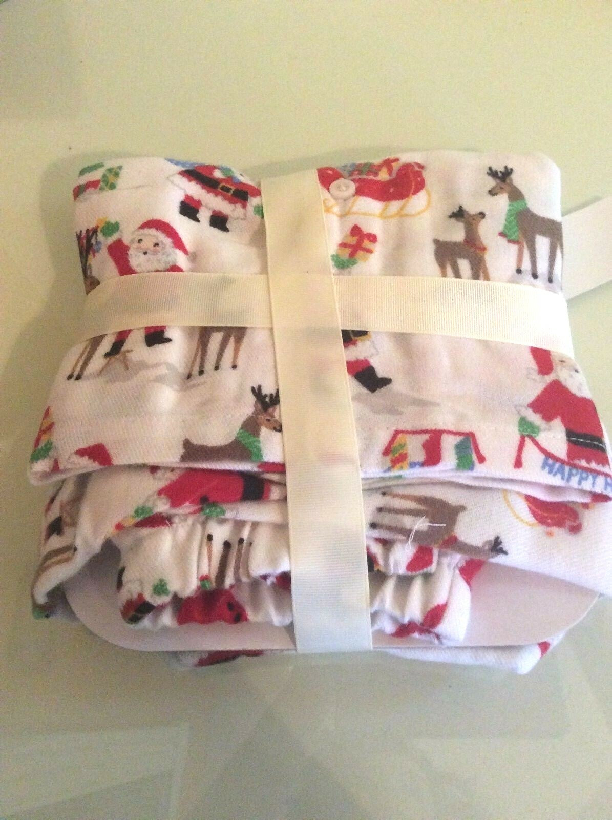 Pottery Barn Holiday Disney Rudolph Pajama , school gift Christmas Santa Deer [
