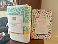 Disney Pottery Barn Princess pillowcase Star+Beach holiday sham girl Dot SET 2 y