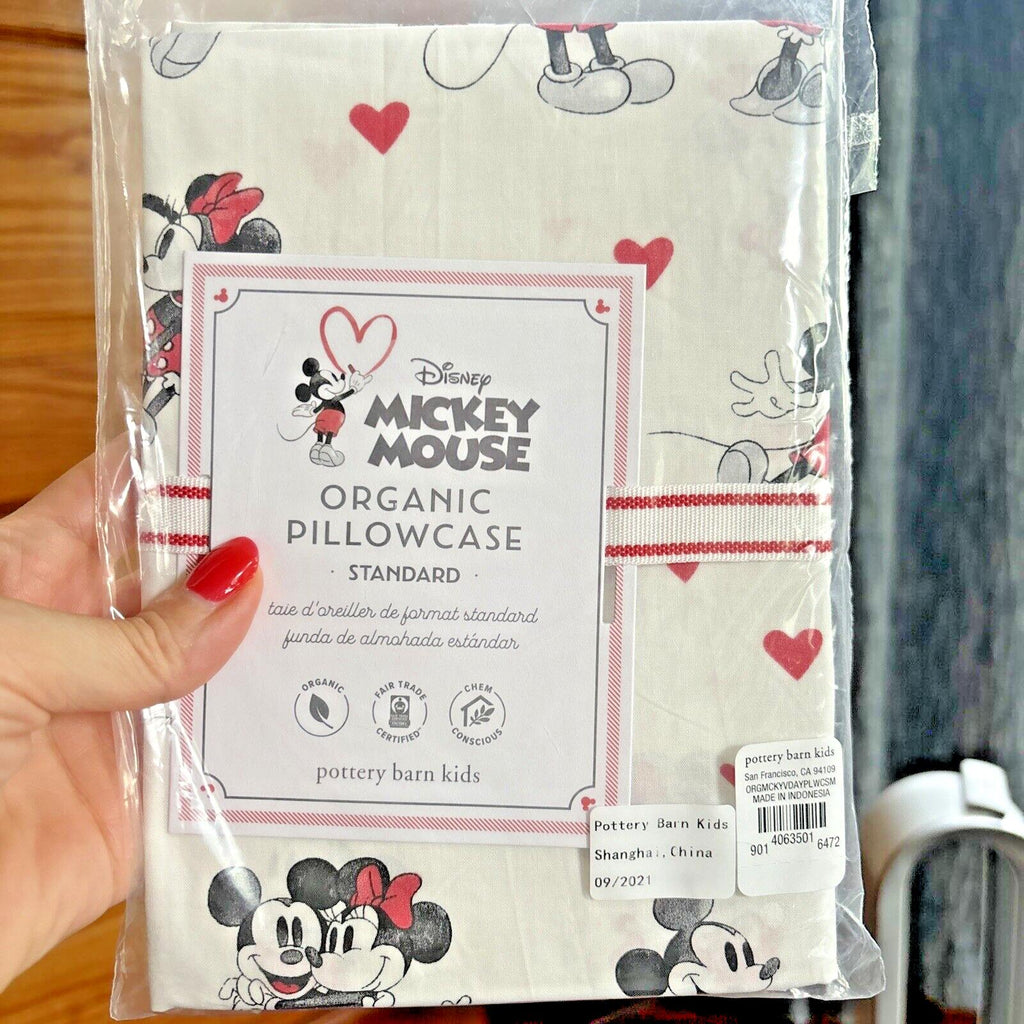Disney Pottery Barn Mickey Minnie Mouse Peanuts Snoopy holiday Pillowcase kids