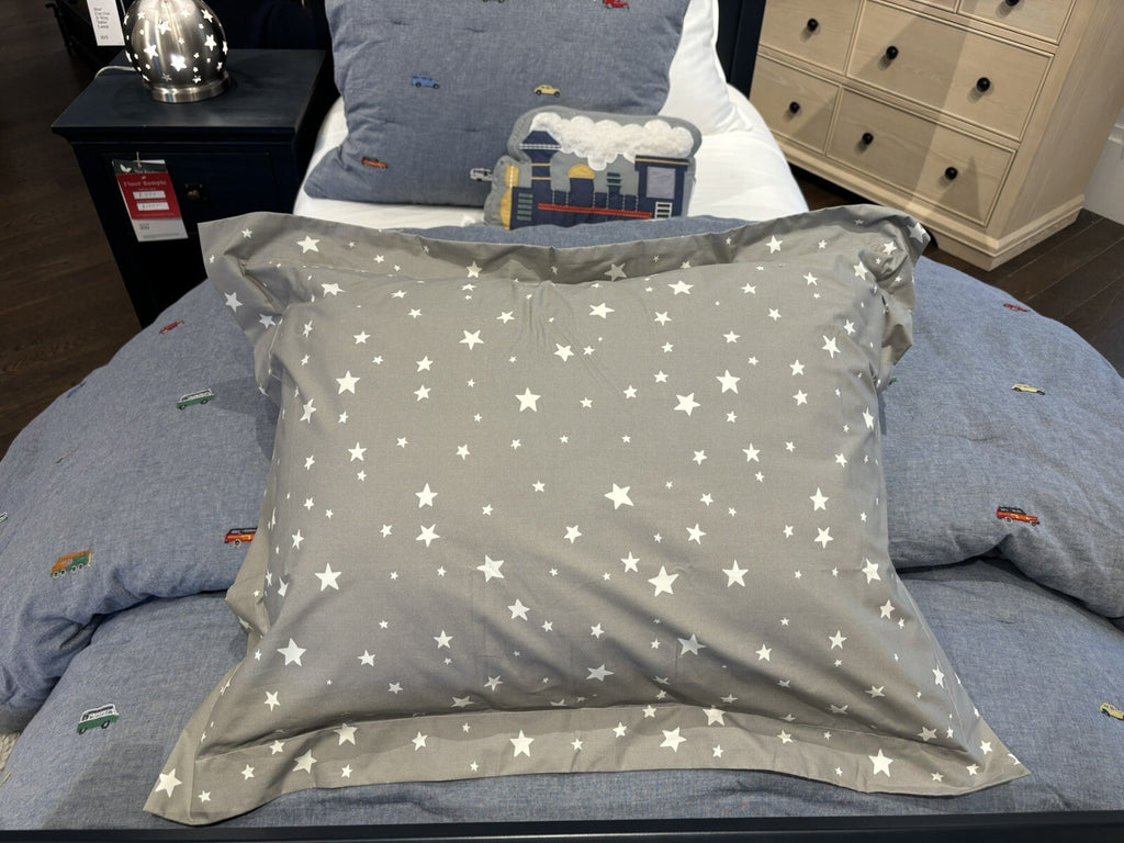 Pottery Barn  Christmas Pillowcase + Star Sham Glow Dark holiday disney SET 2 y