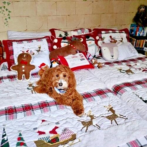 Pottery Barn Gingerbread Christmas Disney Holiday pillow gift Birthday kid r