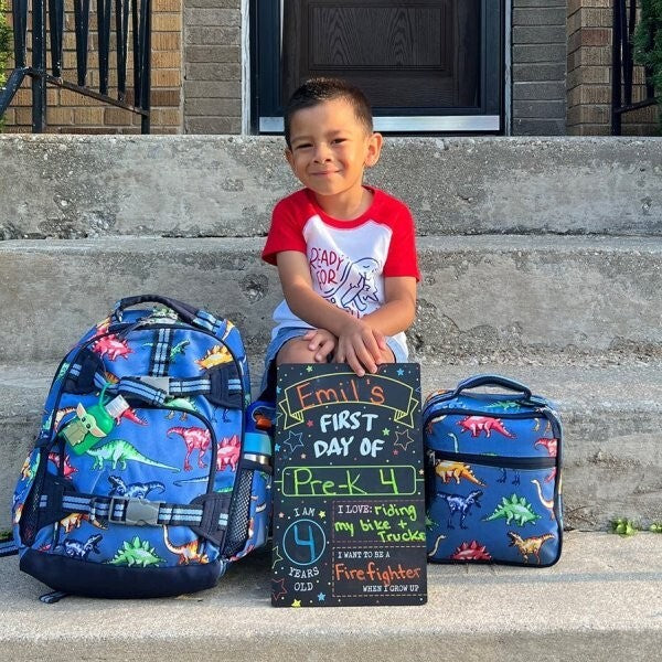 School Disney Pottery barn Lunch Box Dinosaur +Bag Jurassic boy travel kid ??  n