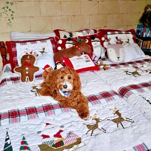 Pottery Barn Gingerbread Christmas Disney Holiday pillow gift Birthday kid r