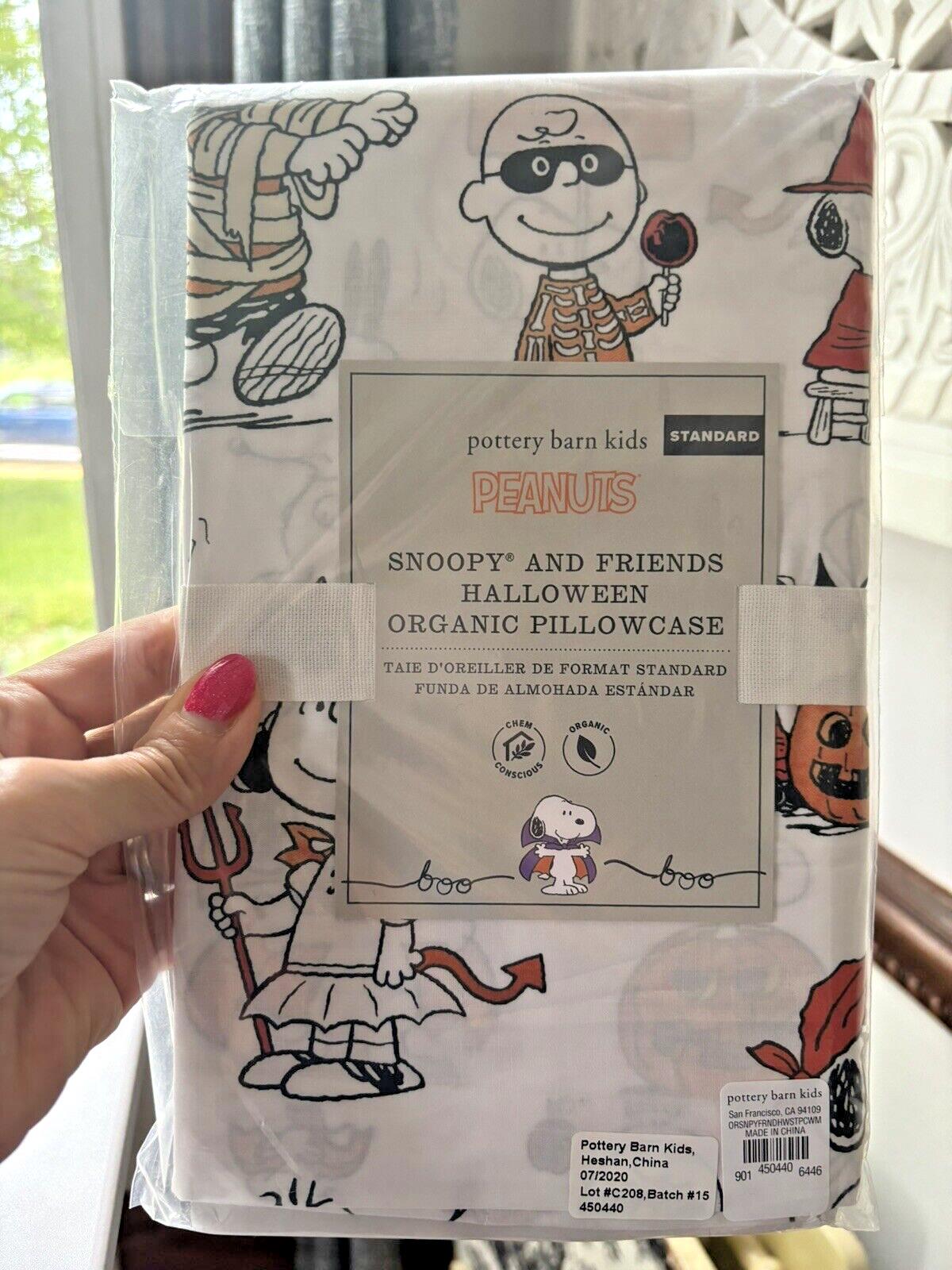 Pottery barn Snoopy school peanuts Pillowcase Halloween Holiday Dog kids SET 2 y
