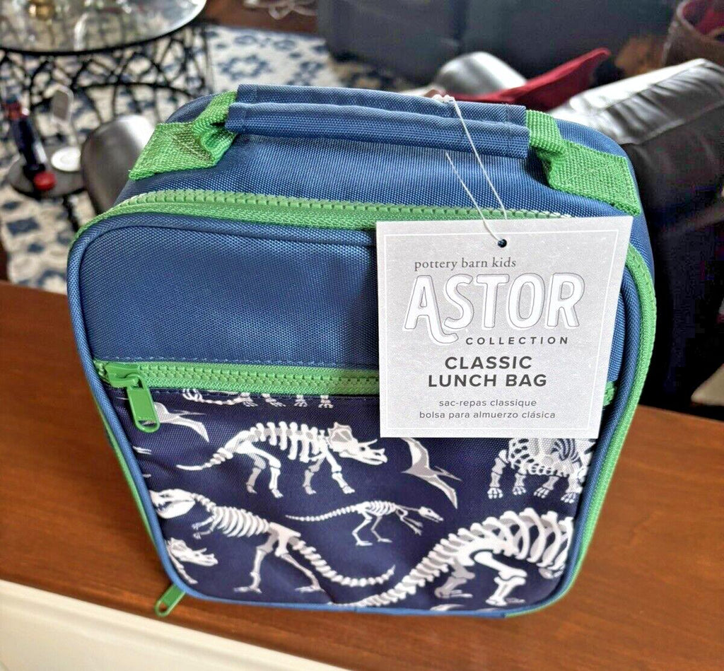 School Disney Pottery barn Dinosaur Jurassic LUNCH bag space boy travel pre k /