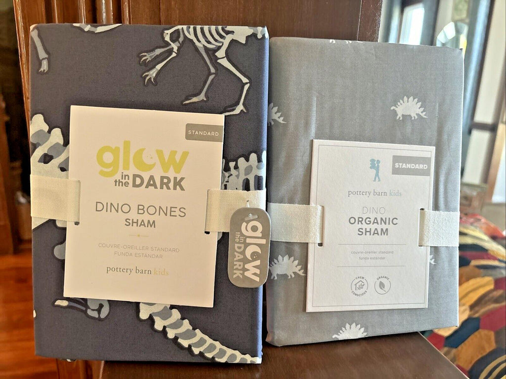Disney pottery barn Dinosaur Bones Jurassic + holiday gift kid bed SET 2 a