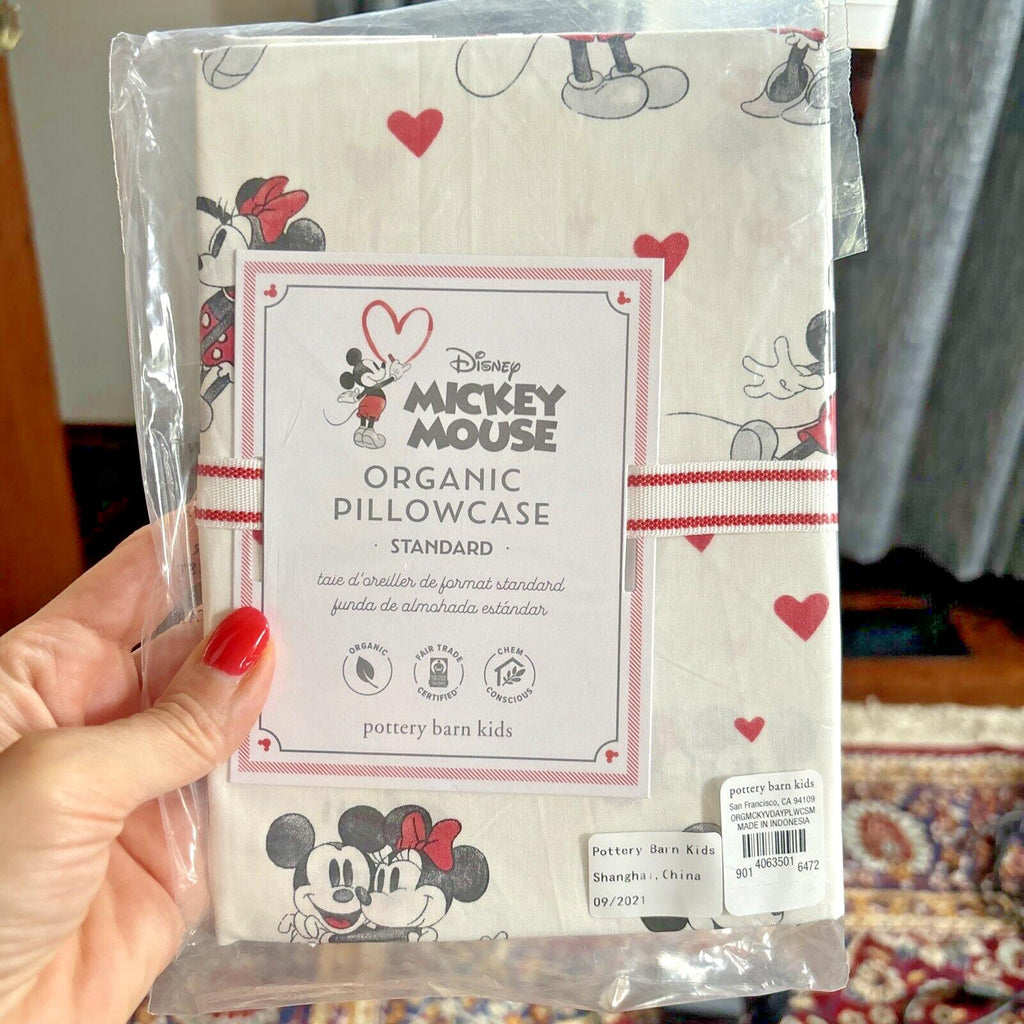 Pottery Barn Mickey Minnie Mouse Floral Disney Monique holiday Kid Gift SET 2 r