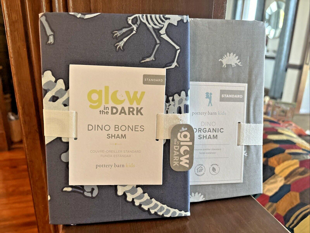 Disney pottery barn Dinosaur Bones Jurassic + holiday gift kid bed SET 2 a