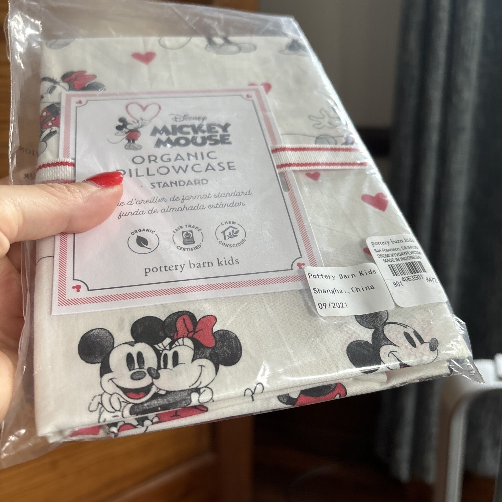 Pottery Barn Mickey Minnie Mouse Floral Disney Monique holiday Kid Gift SET 2 r