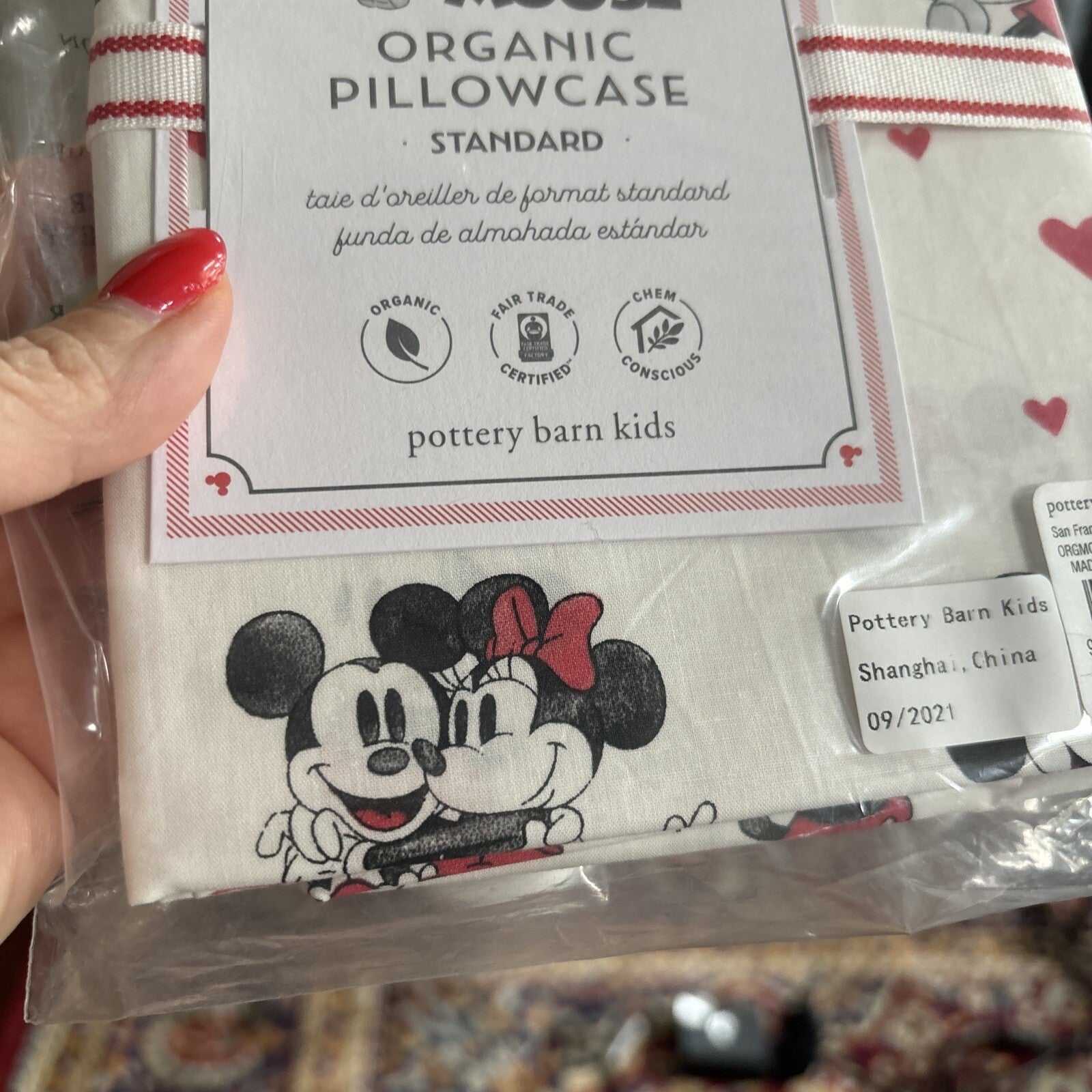 Pottery Barn Mickey Minnie Mouse Floral Disney Monique holiday Kid Gift SET 2 r