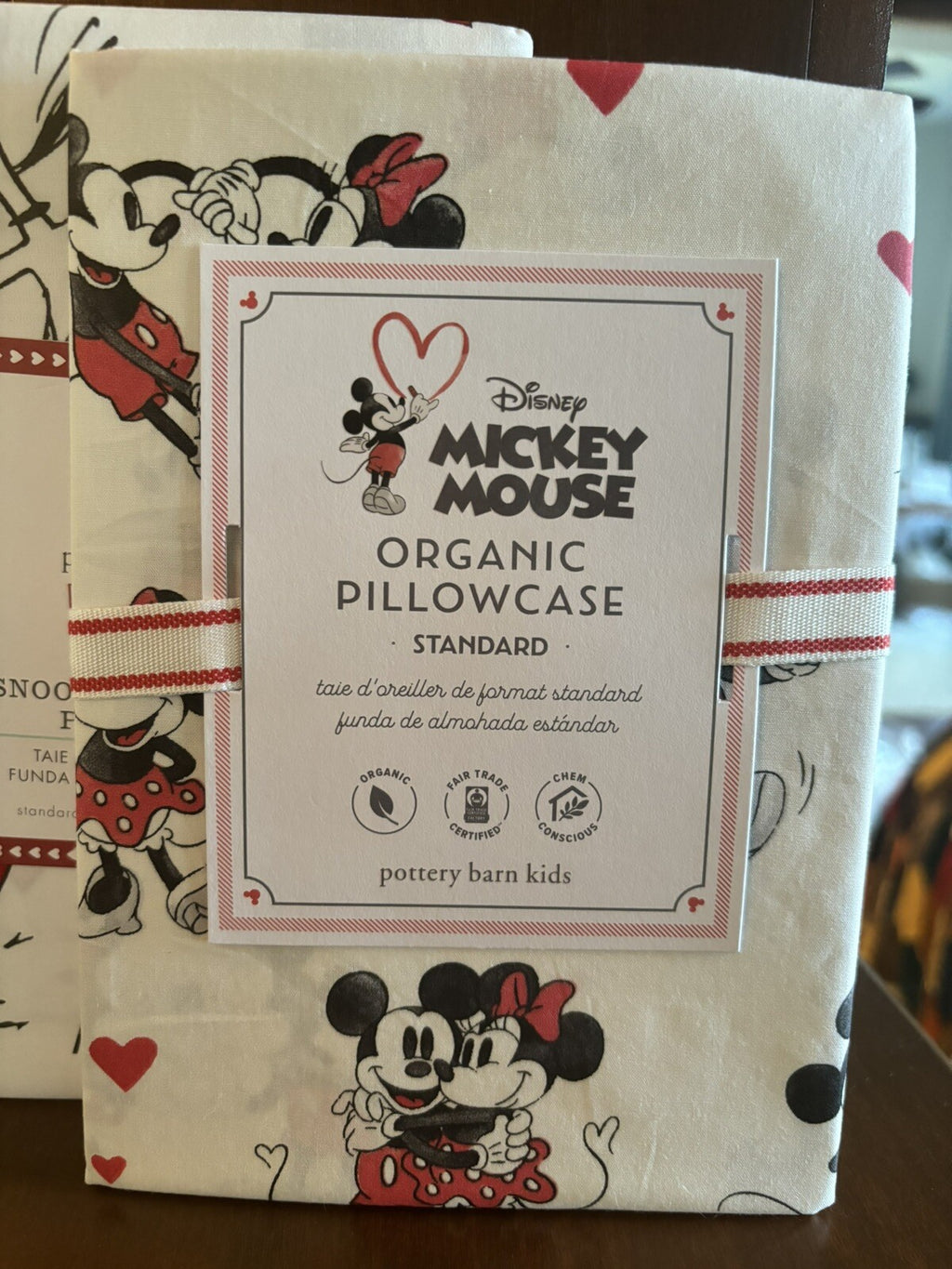 Pottery Barn Mickey Minnie Mouse Floral Disney Monique holiday Kid Gift SET 2 r