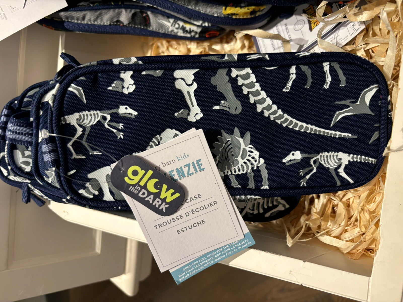 Pottery barn School Bag disney+ Pencil case boy Dinosaur Jurassic star space .